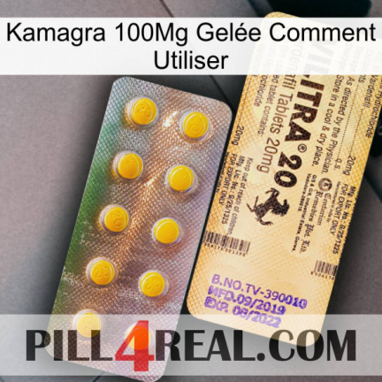 Kamagra 100Mg Gelée Comment Utiliser new06